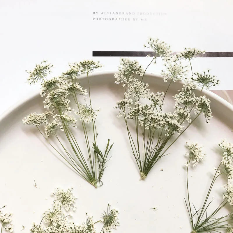 5-7 cm/12 adet, Şube ile Kar M - Craft Embellishment incelemesi ve fiyatı
